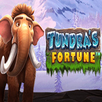 Tundra's Fortune