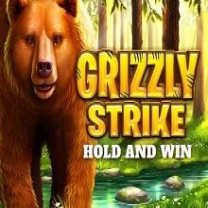 Grizzly Strike