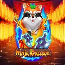 Ninja Raccoon