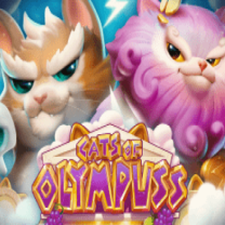 Cats of Olympuss