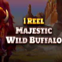 1 Reel - Majestic Wild Buffalo