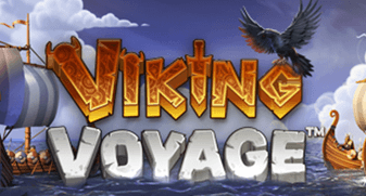 Viking Voyage