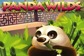 Panda Wilds