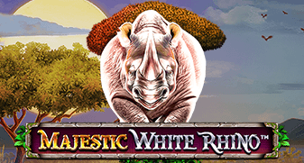 Majestic White Rhino