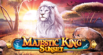 Majestic King - Sunset