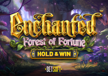 Enchanted: Forest Of Fortune - Hold & Win