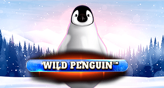 Wild Penguin