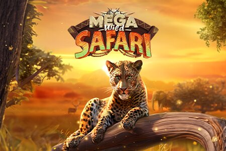 Mega Wild Safari